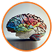Cognitive Enhancement Zynamite